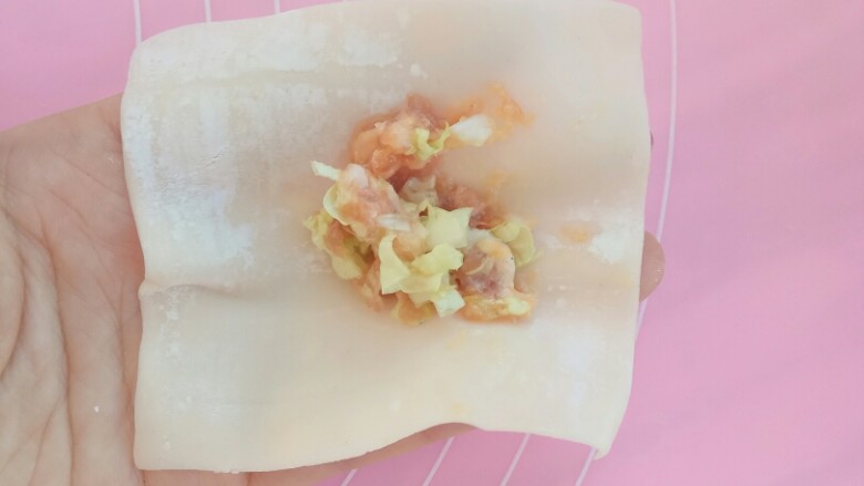 白菜猪肉小馄饨(内附馄饨四种详细包法),第三种办法,肉馅也放馄饨皮中间