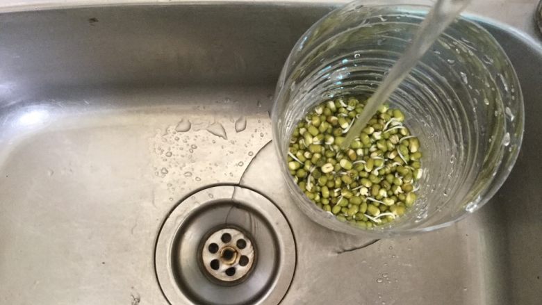 巧用饮料瓶发豆芽,每天早、中、晚浇水,顺便把笼布冲洗干净塞住豆芽
