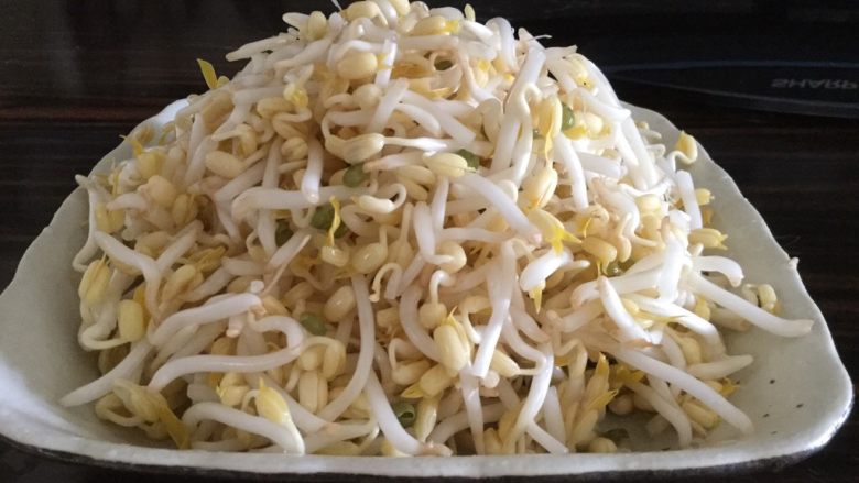 巧用饮料瓶发豆芽,摘了根的绿豆芽,白白嫩嫩,是不是很诱人?