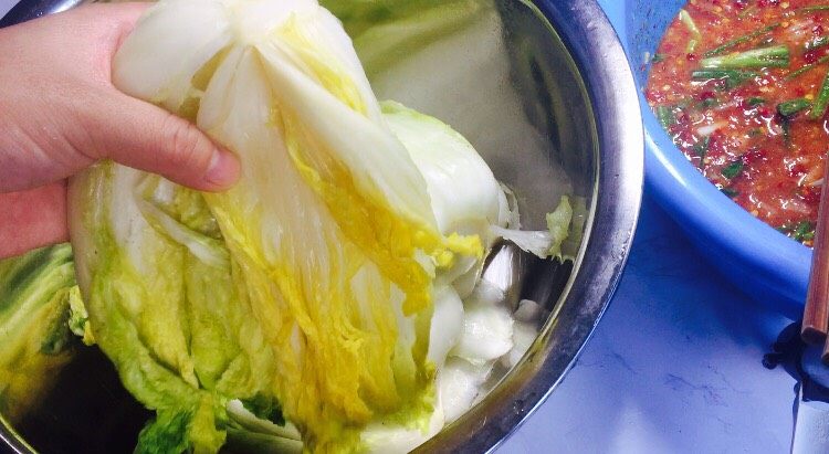韩式辣白菜(辣酱调制),白菜腌制出水分后,试试盐味,在挤干水分!