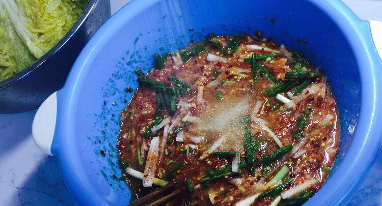 韩式辣白菜(辣酱调制),一点点盐,还可以添加虾酱,本人对虾过敏,所以没有添加!腌料就做好啦!