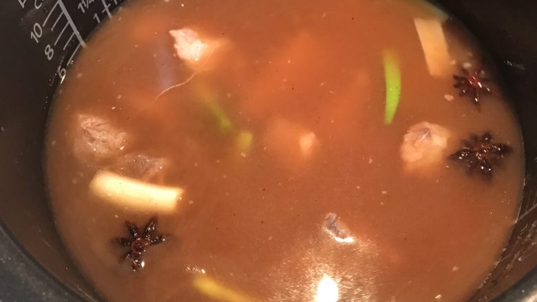 （广东）牛腩粉,在电饭煲注入清水1200ml和<a style='color:red;display:inline-block;' href='/shicai/ 788'>生抽</a>适量，水量最好刚高过肉块约3厘米，炖一个小时