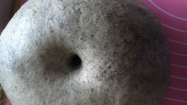 蜜豆胚芽芝麻面包,手指沾些面粉戳洞,不回缩不塌陷即可