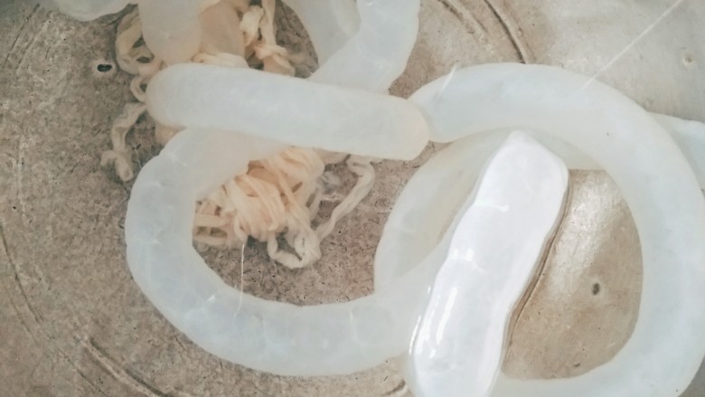 自制香肠,肠衣去盐浸泡二十分钟后,灌水查验有无破洞,有的话剪掉。