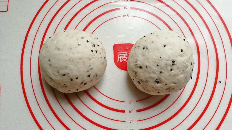 黑芝麻红薯全麦面包(波兰种),把发好的面团取出,挤压排气后分成均匀的两份滚圆,盖保鲜膜醒发15分钟;