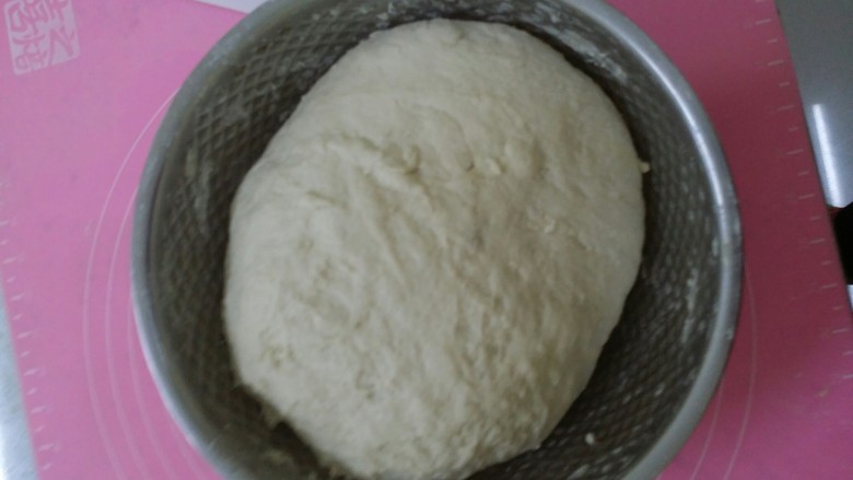 老面包子,加干<a style='color:red;display:inline-block;' href='/shicai/ 519'>面粉</a>和少量小苏打和好,