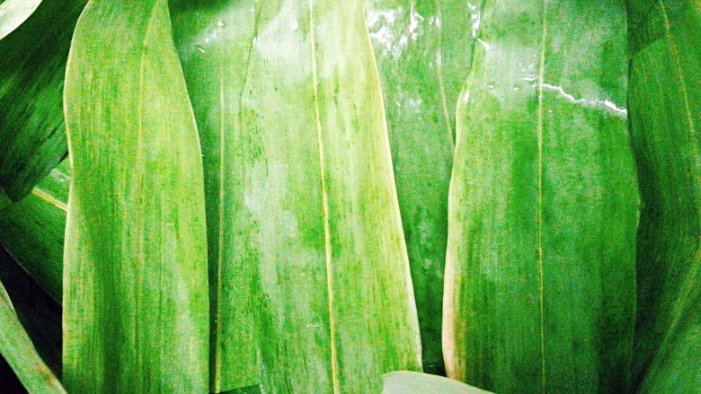冬季一锅出+红鲟蒸红薯粉+简骨鸡枞菌萝卜汤,铺上<a style='color:red;display:inline-block;' href='/shicai/ 211314'>粽叶</a>,一定要多铺几层,以防止漏汁