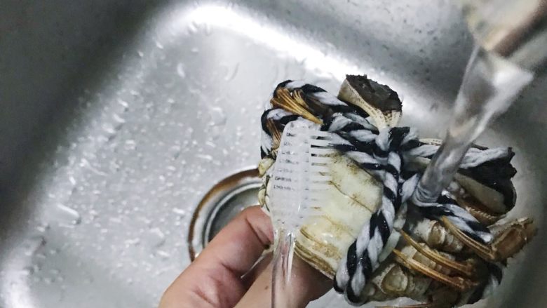 清蒸大闸蟹,食材处理一:大闸蟹清洗
用一次性牙刷将大闸蟹正反两面刷干净
大闸蟹的好处就是它的爪子都绑住了哈哈哈