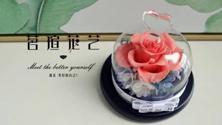 【啤酒鸭】,进口永生花