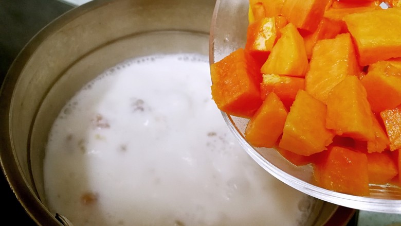 桃胶木瓜炖奶 #冬喝暖饮夏吃冰#,把木瓜倒入奶锅,大火烧开后立即关火。