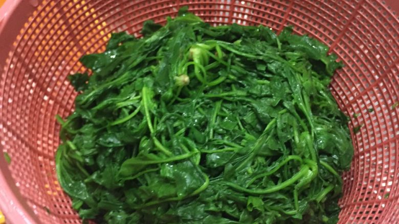 芥菜饺子,芥菜洗好,水烧开,放入芥菜,烫下变了颜色就拿出来,不要煮太久。