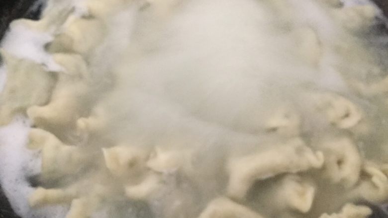 猪肉茴香馅饺子,开锅加入适量冷水,在开锅就可以捞出了。