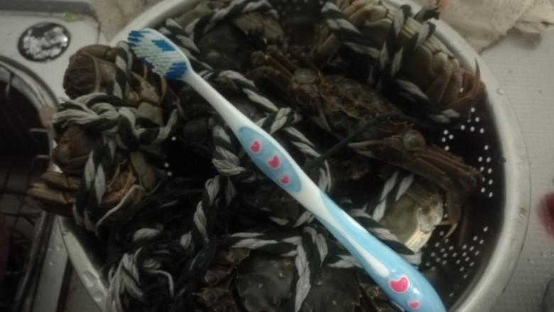 清蒸大闸蟹,用盐水养几小时蟹吐沙,然后用牙刷洗干净蟹。