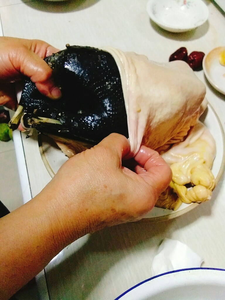 家常养胃荤菜 肚包鸡,将小鸡整只塞到猪肚里。一手拉开肚口,一手握住鸡屁股的位置,往里塞很好塞。
