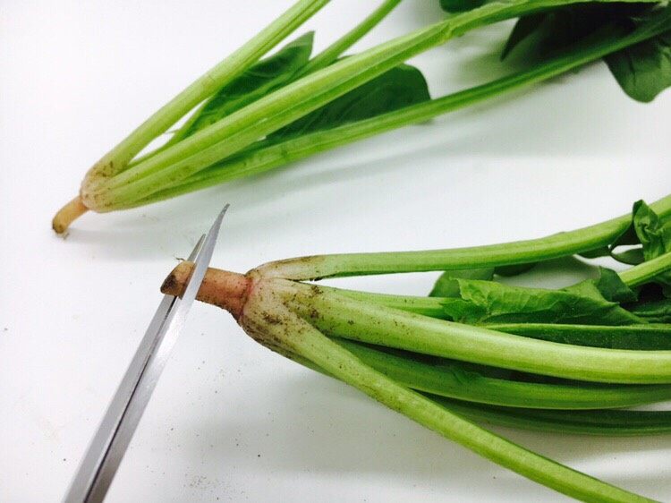 菠菜木耳炒鸡蛋,用剪子剪去根部的头,约1mm。