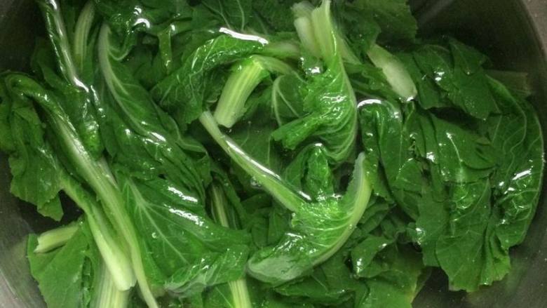 小白菜肉包,将焯过水的小白菜捞出,放入凉水中过凉。