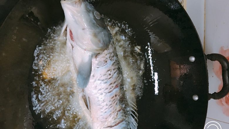 红烧鲤鱼,待油烧至冒烟后下鱼煎制