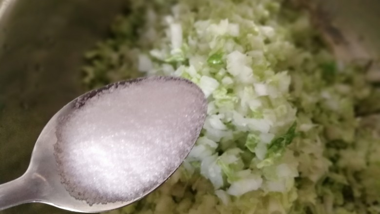 中式点心+钱袋白菜肉包,加入一勺盐,腌一会,