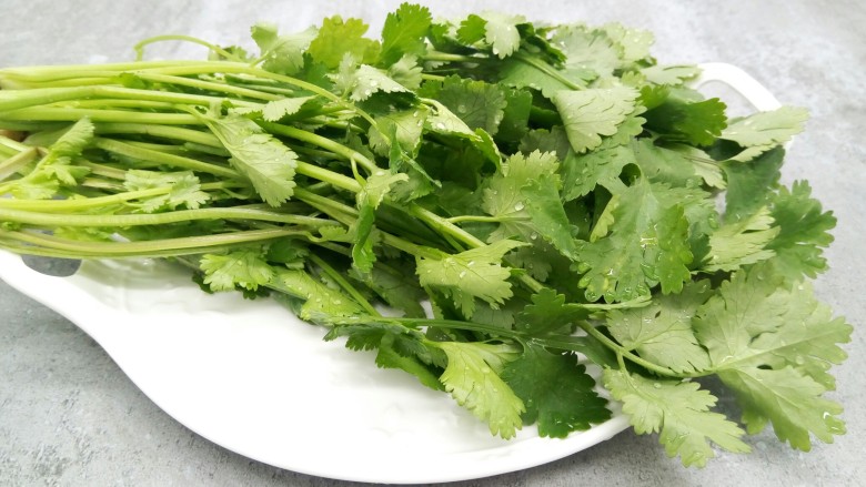 豆皮香菜烤串,洗好的香菜,控干水分