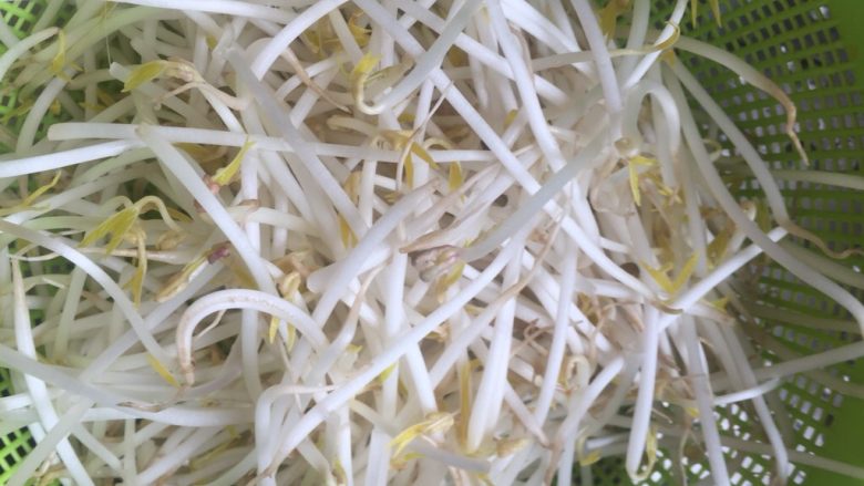 地方菜 干炒牛河,绿豆芽洗净,去掉豆壳.