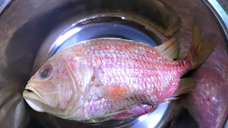 红烧加吉鱼,去鳞和内脏,洗干净备用