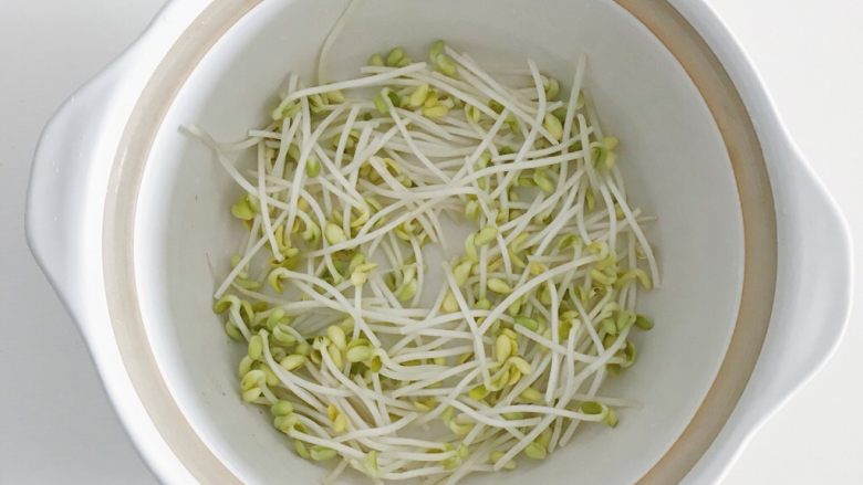 宝宝辅食:蔬菜高汤,食材处理三:码蔬菜锅
砂锅底部铺上一层黄豆芽