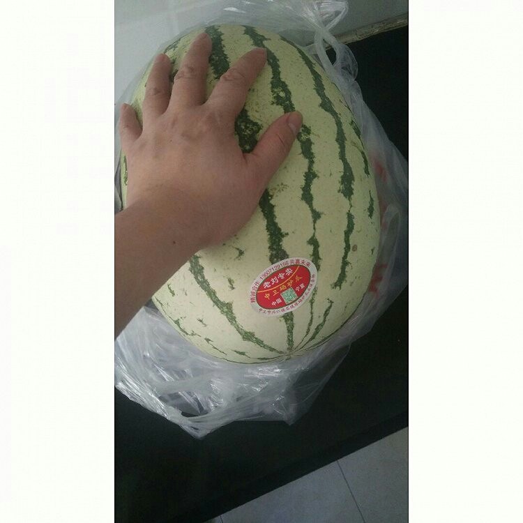 西瓜皮炒肉丝,大西瓜一个,大约10斤重
