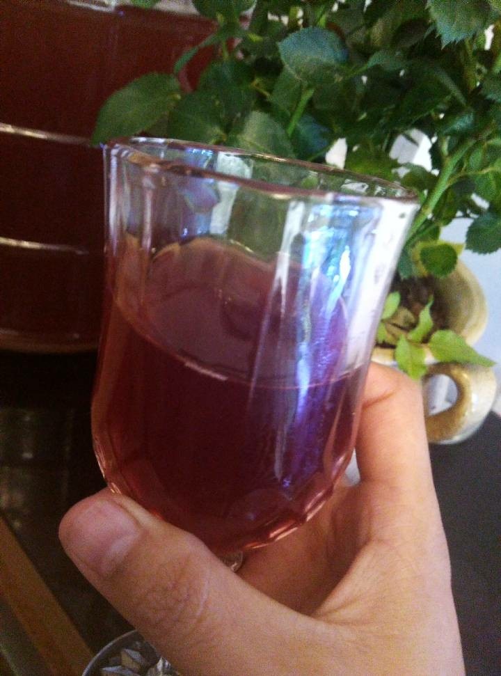 自酿葡萄酒,如果急着想喝葡萄酒,来找我吧!我在咸鱼上叫做依蓝虫,如果有不懂的也可以来找我私聊!