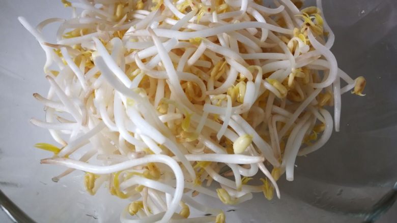 酸辣绿豆芽炒肉丝,<a style='color:red;display:inline-block;' href='/shicai/ 133'>绿豆芽</a>两把,泡盐水十分钟,洗净备用。