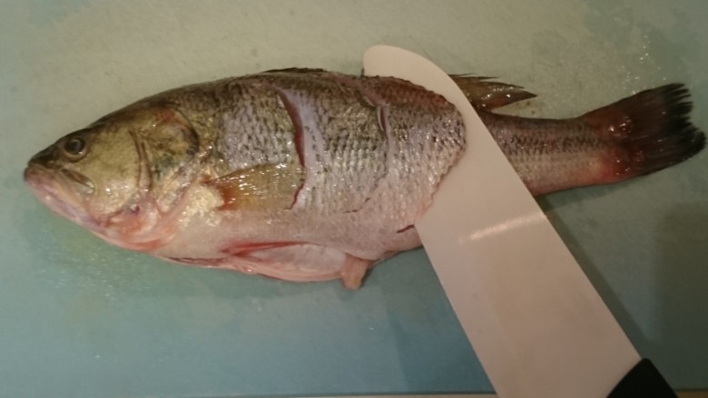 清蒸鱸魚,避開魚骨在魚身斜切3刀,上下都要切。