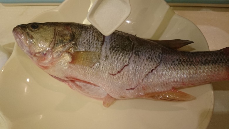 清蒸鱸魚,魚身抹鹽,全身都要!