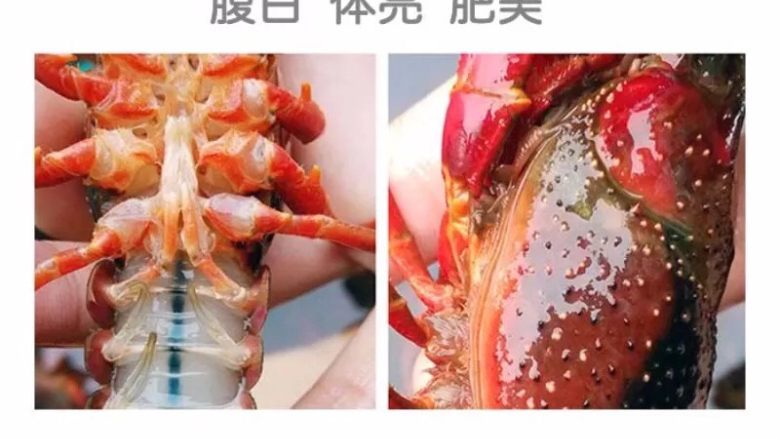 吮指小龙虾,买回来的<a style='color:red;display:inline-block;' href='/shicai/ 285'>小龙虾</a>,活的,在不流动的水池子中滴几滴油,静置半小时(不敢养2,3天,他会瘦的),然后搅和搅和他们,让她们吐脏东西,然后再换水冲洗,刷子冲洗几遍,直至洗成上图一样干净。