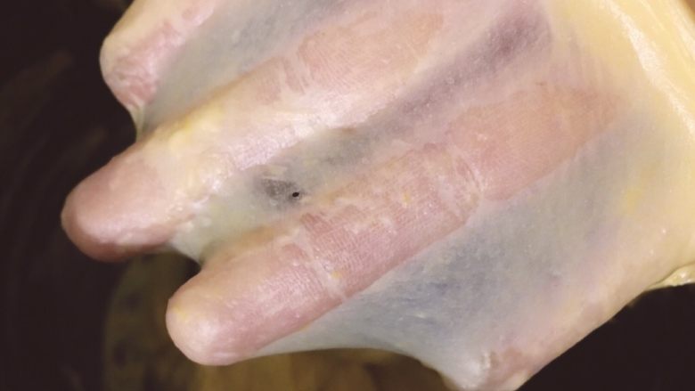 烘培之南瓜软欧包,启动面包机揉十分钟后加入黄油和盐在开启10分钟,出手套膜,一起用时20分钟