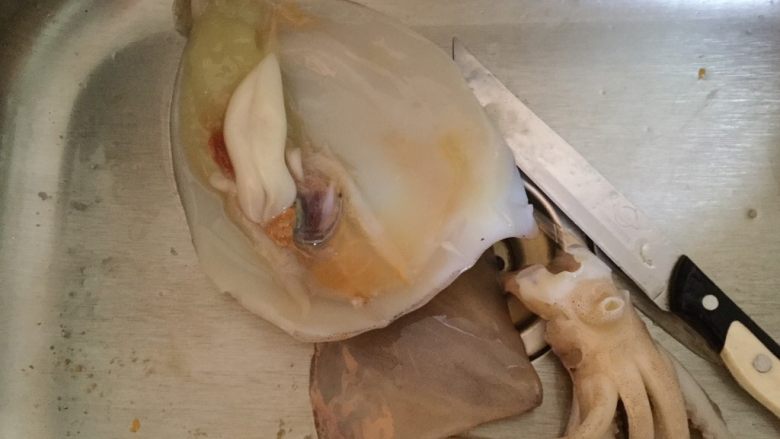 家常鱿鱼卷,去头去尾,用刀把肚子划开,入出内脏洗干净。