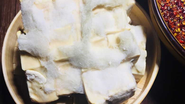 农家传统自制豆腐乳【详细版】,这是发酵好的豆腐,长了一层白白的毛!最健康的!如果是红色的和黑色的就不能吃了!