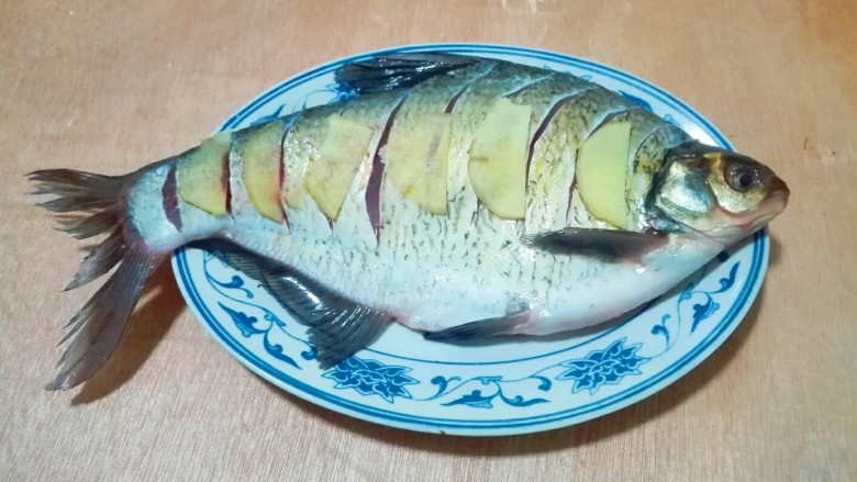 蚝白清蒸鳊鱼,腌制时间完成,鱼上面,下面,肚子里都放姜片