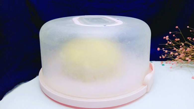 水果千层蛋糕,放入蛋糕盒中,盖上盖子入冰箱冷藏4小时以上再切开食用。