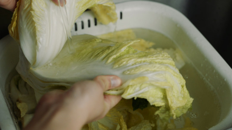 制作自家口味的韩式泡菜,大约2-3小时后,白菜帮子都完全蔫了,就可以开始制作腌泡菜。
