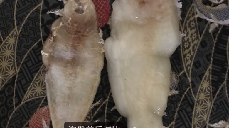 鱼胶莲子红枣汤,怕发好的鱼胶肉厚q弹