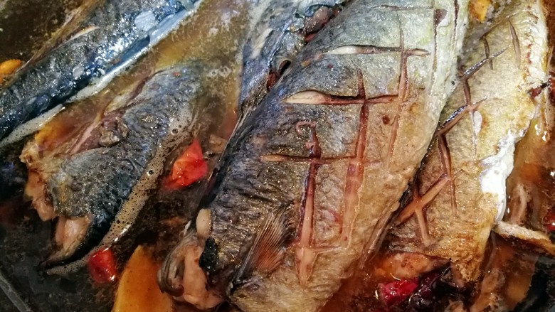 家常美味炖青鱼,将青鱼摆放在汤水中,大火烧开后,改小火慢炖,炖至收汤。