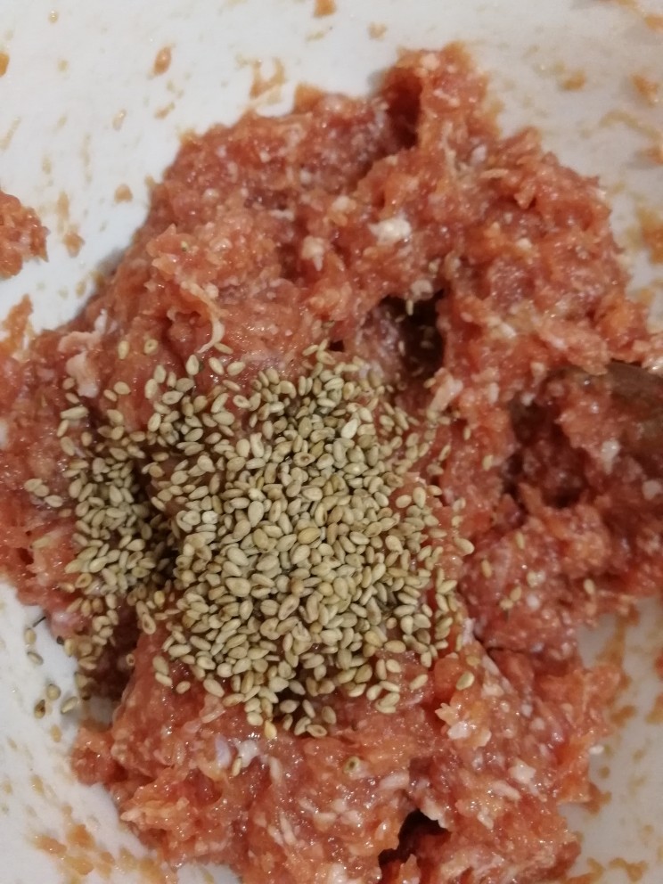 叉烧猪肉脯,加<a style='color:red;display:inline-block;' href='/shicai/ 678'>白芝麻</a>,顺时针拌匀。