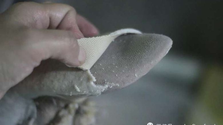 活久见 卤牛舌,舌面上的白皮可以看出来,明显比舌底的白皮厚很多,同样也好撕很多,三下五除二就能把舌面上的白皮去掉。