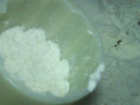 五仁月饼,月饼模中放入少量面粉,摇晃均匀,倒出