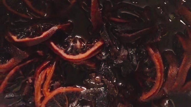 陈皮柠檬膏,(开盖搅拌一下)炖煮8个小时后的柠檬膏是这样的,金光闪闪,香气扑鼻,浓郁的香味飘满整个屋子