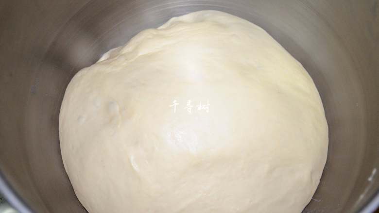 中种法奶香吐司面包,刚开始搅拌的时候会发现面团很湿,还很黏,中种面团和主面团逐渐融合到一起,面团开始变得光滑,面筋组织部分形成后加入黄油。揉到完全阶段,手套膜出现。揉好的面团放在温暖处松弛半小时。