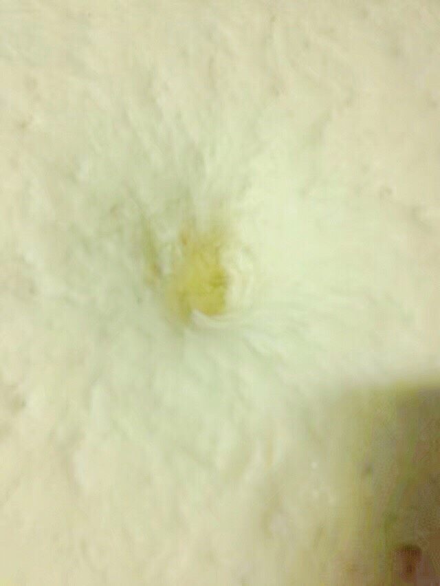 红糖伍仁馅糖三角,面团发酵到两倍大,按一下,孔不会回弹,就是发酵好了。