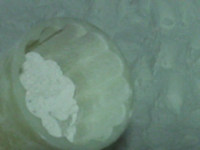 菠萝冰皮月饼,月饼模中装少量熟<a style='color:red;display:inline-block;' href='/shicai/ 520'>糯米粉</a>,摇晃均匀后倒出