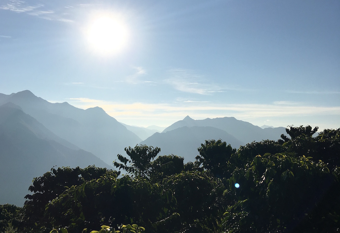 寻觅一杯有温度的咖啡——咖啡庄园导览