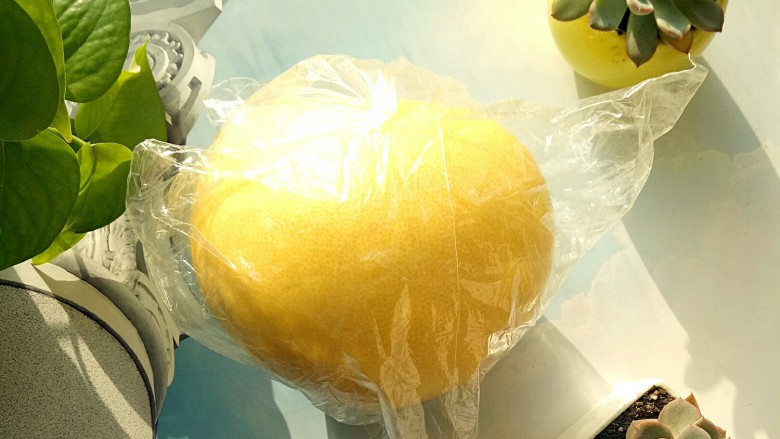 冰糖蜂蜜柚子茶,买来一个红柚备用(挑选柚子窍门儿:个头、外观基本相同的两个柚子,就要掂一掂它们的分量。重的那一个,说明果肉饱满,含的水分比较多;轻的则是果肉都有些发干了。柚子买大不买小,买重不买轻,买尖不买圆,买黄不买青)