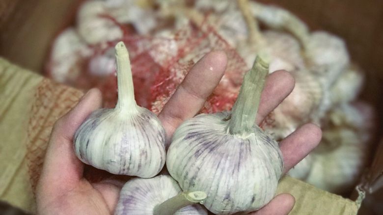 腊八蒜,大蒜最好选择这种紫皮蒜,新鲜买回来可以太阳底下晒两天再用,比较容易去皮衣。